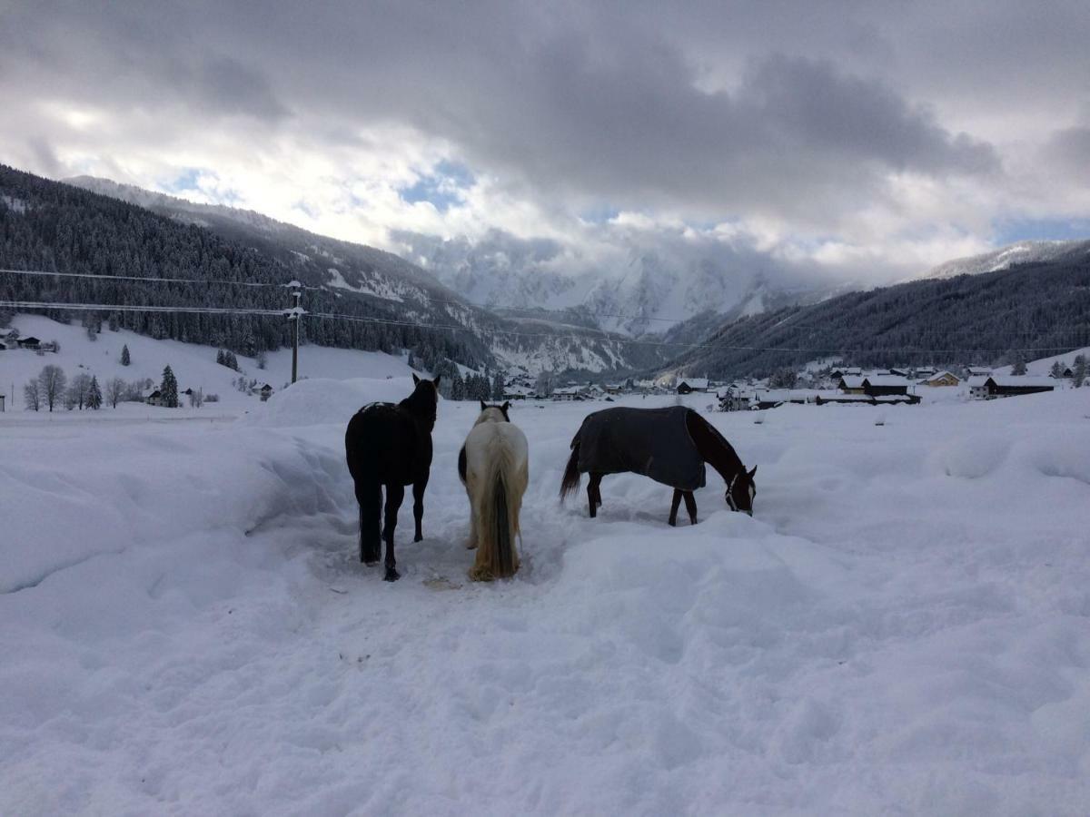 Ferienwohnung Schmiedsipplbad Gosau Esterno foto